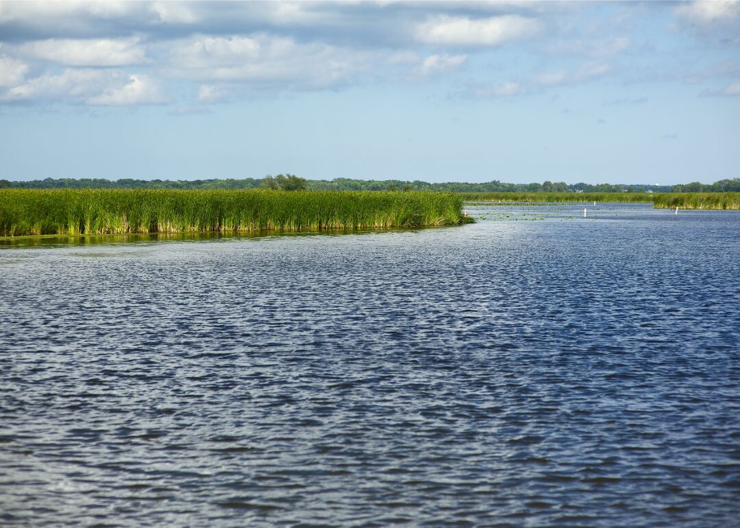 #42. Illinois